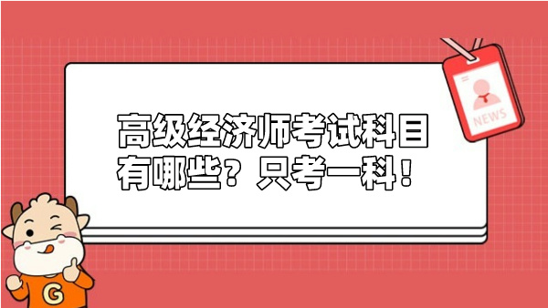 高级经济师考试科目有哪些？只考一科！